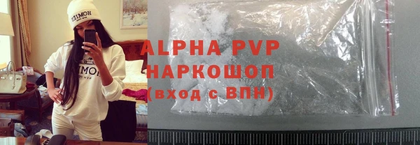 apvp Алзамай