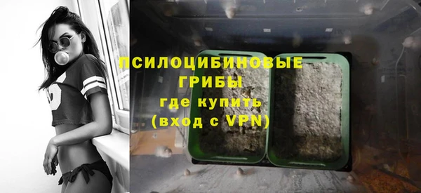 ПСИЛОЦИБИНОВЫЕ ГРИБЫ Абаза