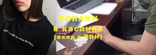 ПСИЛОЦИБИНОВЫЕ ГРИБЫ Абаза