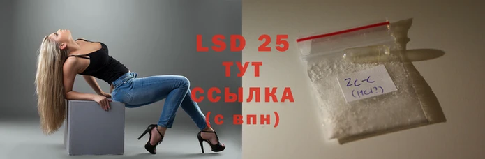 ПСИЛОЦИБИНОВЫЕ ГРИБЫ Абаза