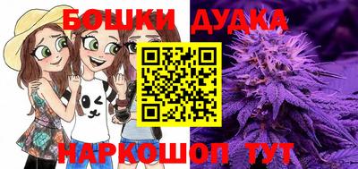гашик Ипатово