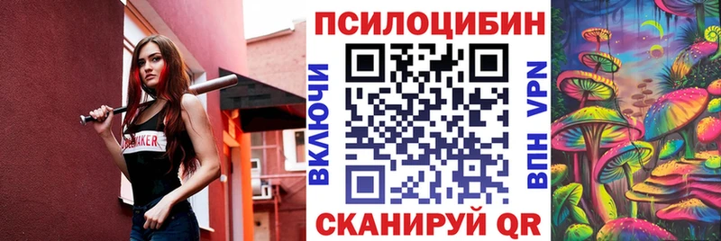 mega ссылка  купить наркоту  Назрань  Псилоцибиновые грибы мицелий 