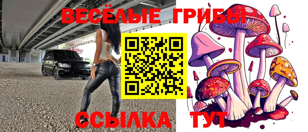 Назрань  Галлюциногенные грибы ЛСД  Псилоцибиновые грибы Magic Shrooms  Вход с VPN 